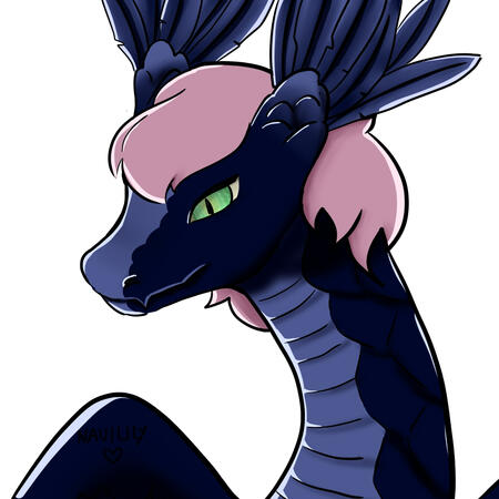 Dragon Doodle